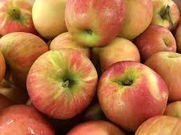 10 nutrition facts honeycrisp apple