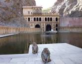 H-Bomb's Sunday photo, week 45: the monkey temple in India | H ...