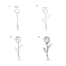 With its help, it will be easy for you to learn the drawing roses. How To Draw A Rose Using A Pencil Or Charcoal Step By Step