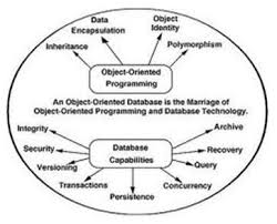 Many operations like insertion, deletion or creation of file. Types Of Database Management Systems