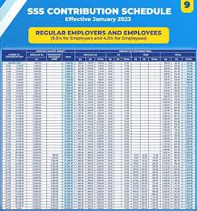 sss contribution table 2023 voluntary