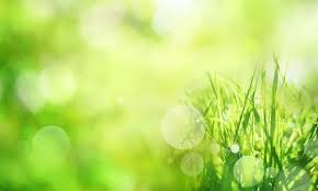 green nature background images