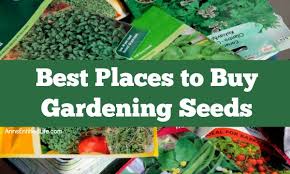 best places to gardening seeds