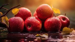apple wallpaper images browse 85