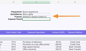 expense report in excel