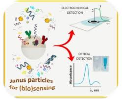 Janus Particles For Bio Sensing Sciencedirect