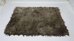 maggot infested rug pure asmr sounds