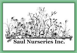 Saul Nurseries Home