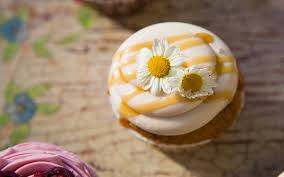 Jul 23, 2015 · and the fact that it's vegan too is a major bonus. 10 Must Try Vegan Bakeries In The U S One Green Planet