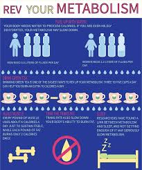 Calorie Burn Chart