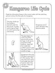 Kangaroo Life Cycle Interactive Student Notebooks Life
