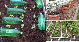 18 Diy Drip Watering Systems For The