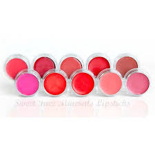 Lipstick Kit Lipkit Mineral Makeup Lip Gloss Liner Long Lasting Waterproof Bare Skin Cover Powder Lovely