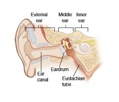 Earache Without Infection Adult