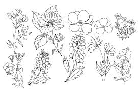 tropical flower line art graphic by
