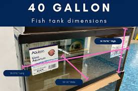 40 gallon fish tank dimensions inches