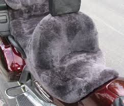Custom Motorcycle Seat And Passenger