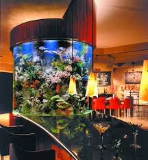 Beautiful Home Aquarium Design Ideas gambar png