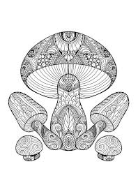 You might also be interested in. Mushrooms Coloring Book Adultcoloringbookz