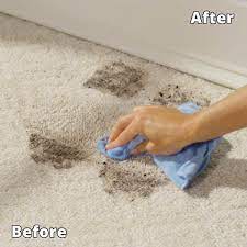 upholstery spot and stain remover
