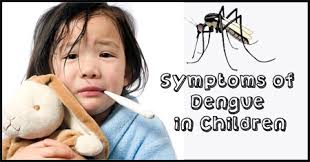 It is a syndrome which is the result of dengue virus affecting children. Signs And Symptoms Of Dengue In Children India Parenting