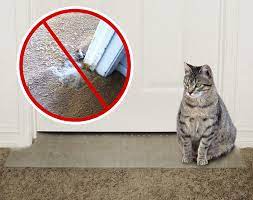kittysmart doorway carpet scratch