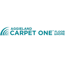 3 best flooring and carpet companies