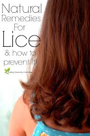 Find the perfect head lice treatment stock photos and editorial news pictures from getty images. Lice In Blonde Hair Images