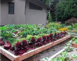 Grow Up Build An Edible Rooftop Garden