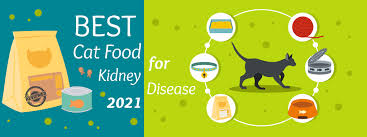 best cat food for kidney disease the