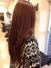 Hairstyles Reddish Brown Hair Color Colors With Hairstyles