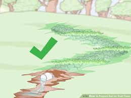3 Ways To Prepare Soil For Fruit Trees Wikihow