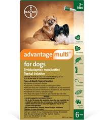Advantage Multi For Dogs How It Works How To Apply Faqs