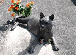 Cat Art Cat Sculptures In New Zealand