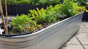 how to use cattle troughs as raised beds