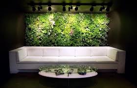 Vertical Gardens Inside And Outside A