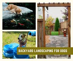 Some common plants are surprisingly dangerous if dogs eat them, including. Backyard Designs For Dogs