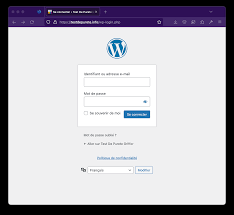 the wordpress wp admin does not appear