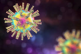 Herpes Virus Vaccine Shows Promise in Preclinical Study