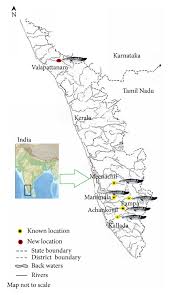 Check out kerala map kerala tourist map backwater map and kerala map of beaches. Figure 2 Occurrence Of Malabar Snakehead Channa Diplogramma Perciformes Channidae From River Valapattanam Western Ghats Of Kerala India