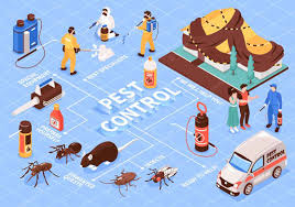 pest free pest control