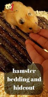 bedding and hideout for your hamster