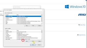 environment variable is disabled