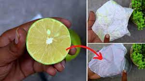 remove yellow stains from white cloth