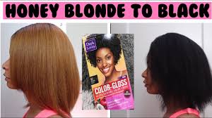 Not only is black hair hard to lift, artificial black hair is even harder to remove! Dying My Hair From Honey Blonde To Black Dark Lovely Color Gloss My Hair Is Damaged Youtube