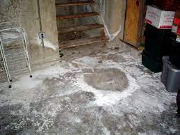 rotting basement floors basement