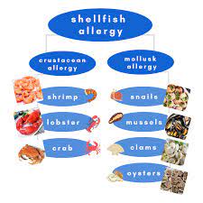 understanding seafood allergies