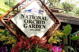 national orchid garden in singapore
