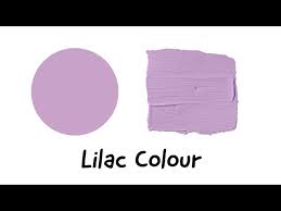 Lilac Colour How To Make Lilac Colour