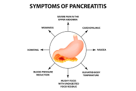 About 70 percent of pancreatic cancer patients experience this symptom. What Is Pancreatic Cancer And Its Types Carecover